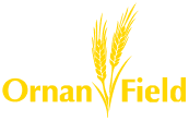 Ornan Field